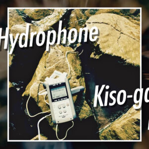 20220208_kisogawa_youtube_img