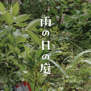 雨の日の庭